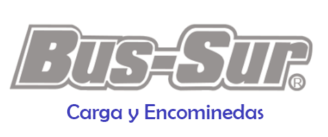 Bus-Sur Cargo